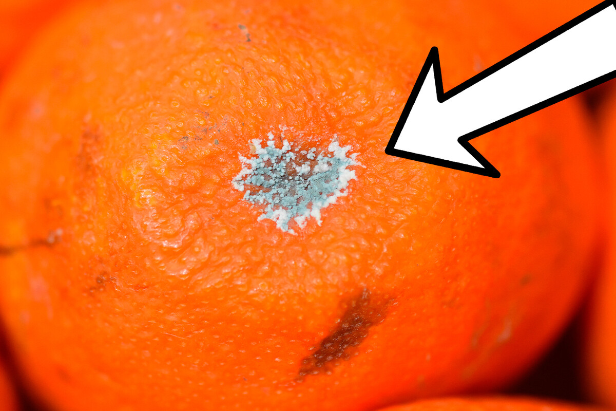 a close up of an orange