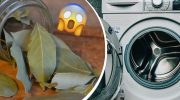leaves in your washing machine