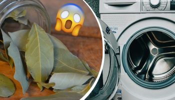 leaves in your washing machine