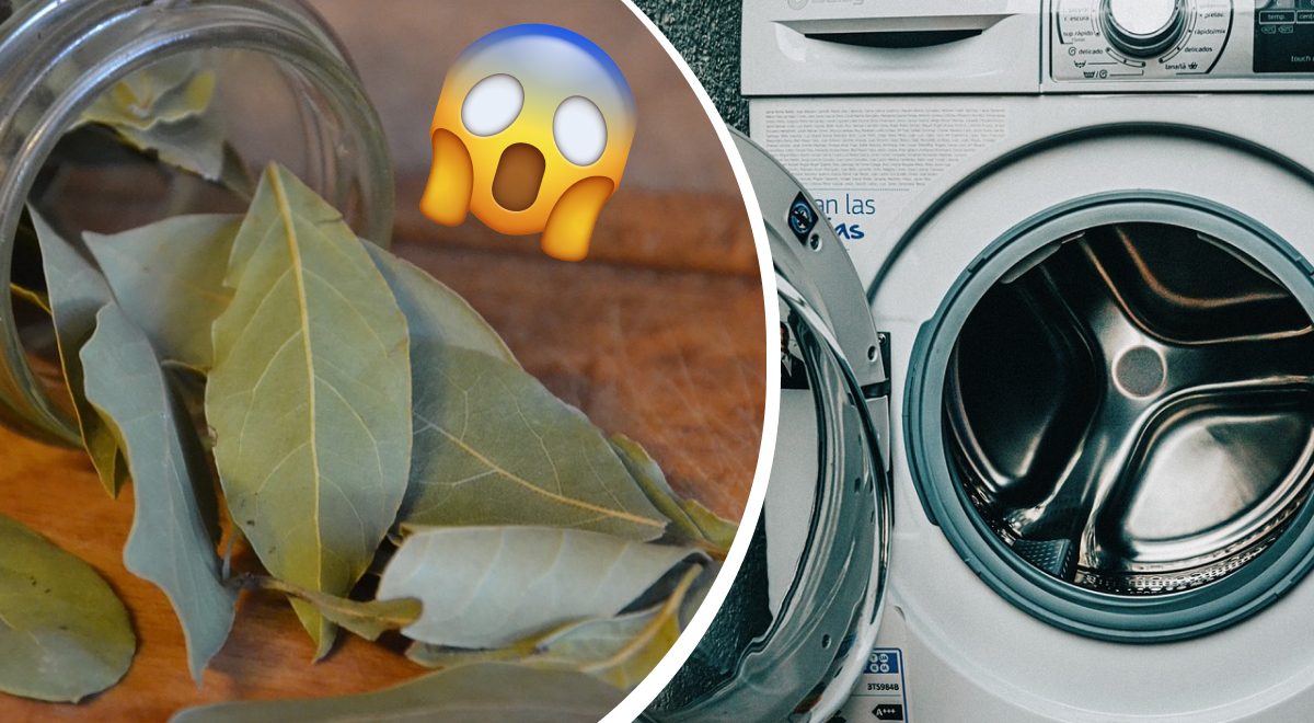 leaves in your washing machine