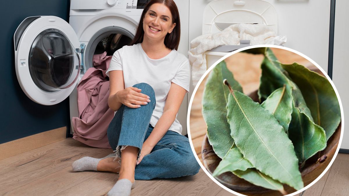 leaves in your washing machine