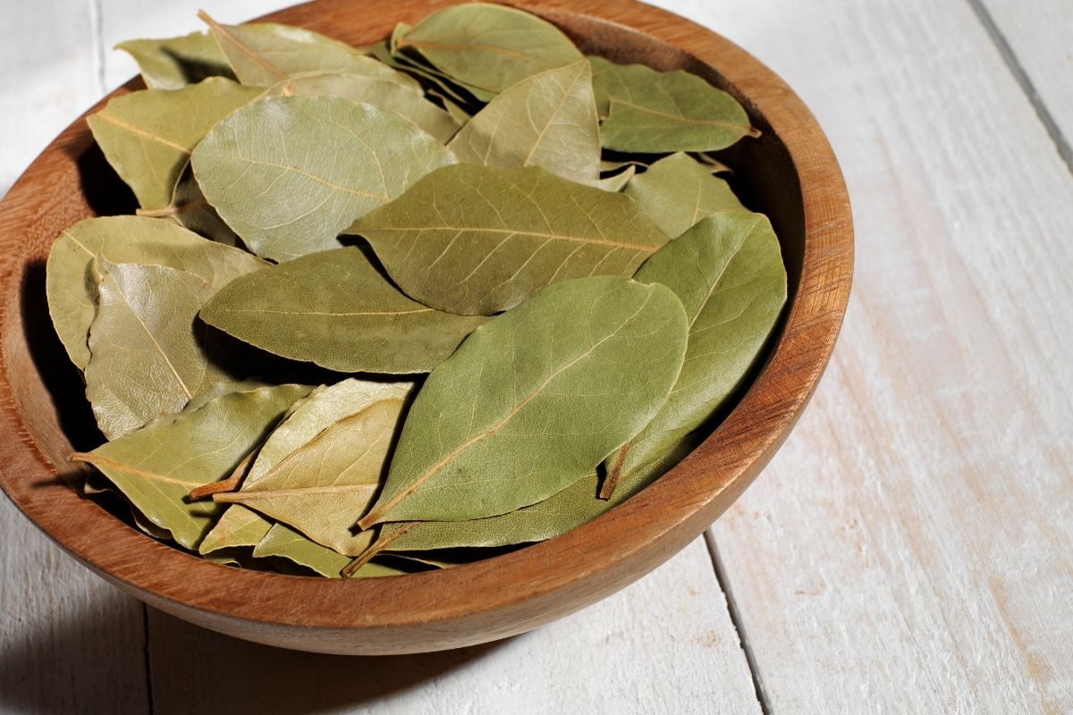Why you need to put bay leaf in shoes before summer