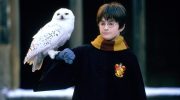 The version of "Harry Potter and the Stone of Wisdom" lasts three hours, but Warner didn't think it was a good idea.