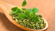 Rudesta