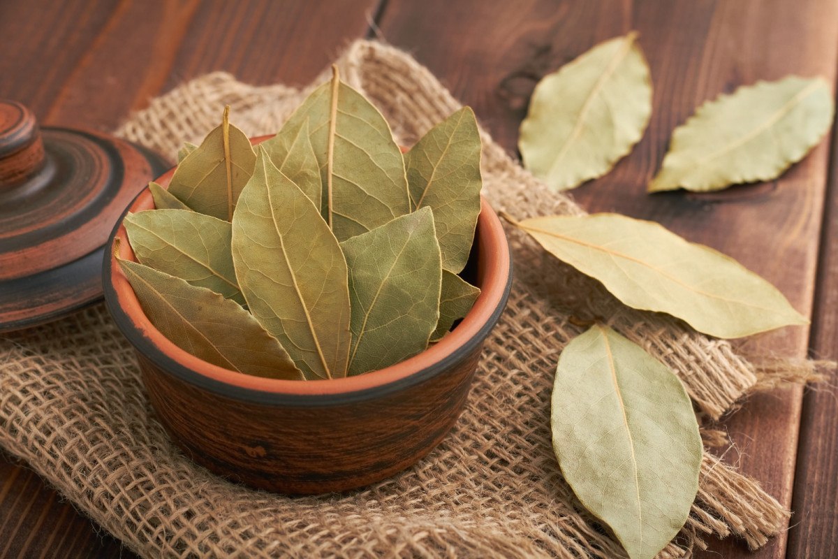 Why you need to put bay leaf in shoes before summer